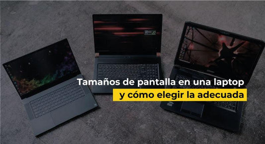 diferentes tamaños de laptops