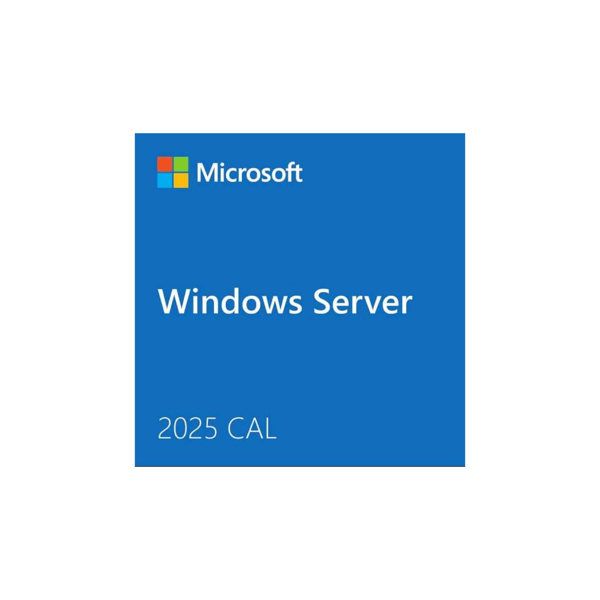 Microsoft Windows Server CAL 2025, OEM (EP2-25271)
