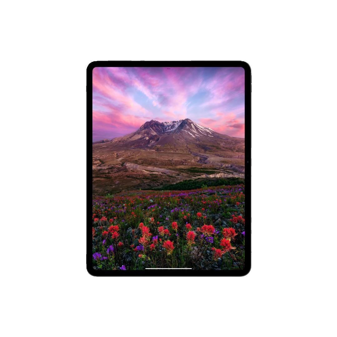 Tablet Apple iPad Pro, M4, 8GB, 256GB, 13" Retina XDR, WiFi6E, BT 5.3, Negro, 1 año (MVX23CL/A)