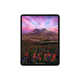 Tablet Apple iPad Pro, M4, 8GB, 256GB, 13" Retina XDR, WiFi6E, BT 5.3, Negro, 1 año (MVX23CL/A)